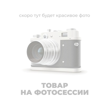 Сани для кросфита BRONZE GYM PARTNER FL-12