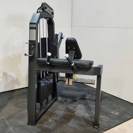 Глют-машина. Ягодичные. Стек 100 кг Tangen A2024 