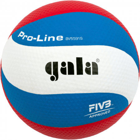 Мяч волейбольный Gala Pro-Line FIVB, BV5591S, голубой цвет, 5 размер