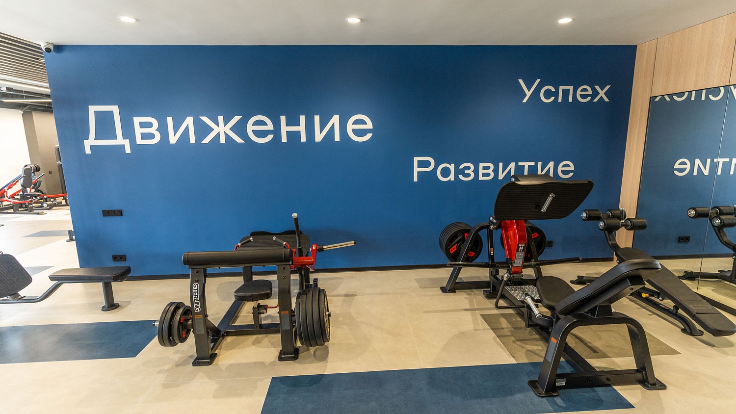 Фитнес клуб в спортивном комплексе «Кортфилд» г. Батайск (385 м²)