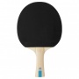 Ракетка для настольного тенниса Stiga Hobby Instinct