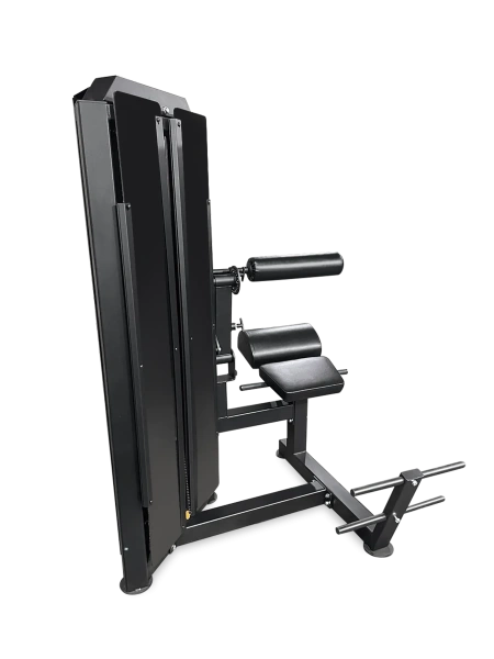 Разгибание спины профессиональный BRONZE GYM PARTNER ML-813