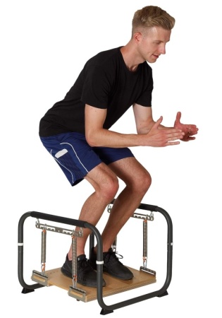 Балансировочная система Pedalo Stabilisator Profi ( арт.14003000 )