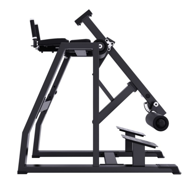 A613 Обратная гиперэкстензия